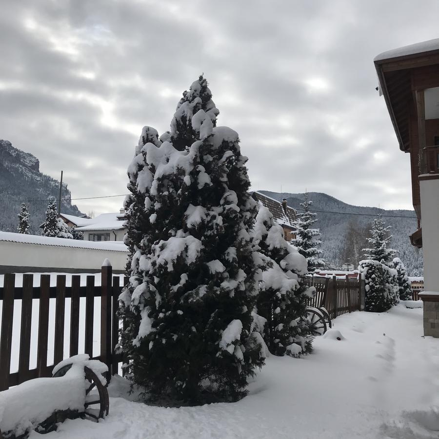 Boutique Hotel The White Pine Samokow Exterior foto